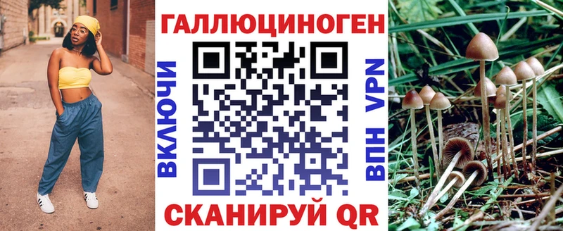 Псилоцибиновые грибы MAGIC MUSHROOMS  Купить закладки  Кизел 
